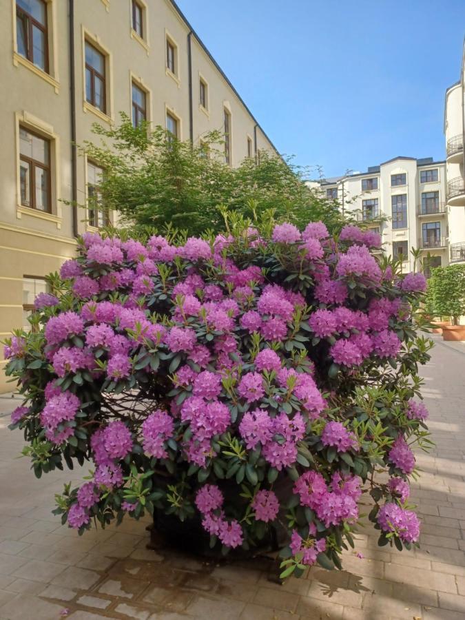 Apartament Piotrkowska 37 Studio Лодз Екстериор снимка